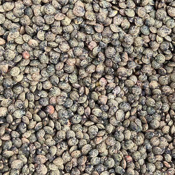 Lentilles vertes 500 g Lentilles vertes 500 g